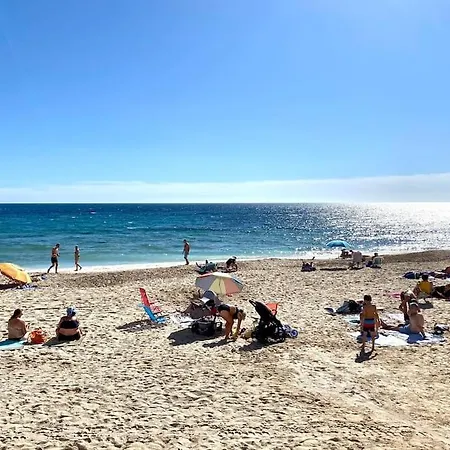 Apartment Casa Locos *